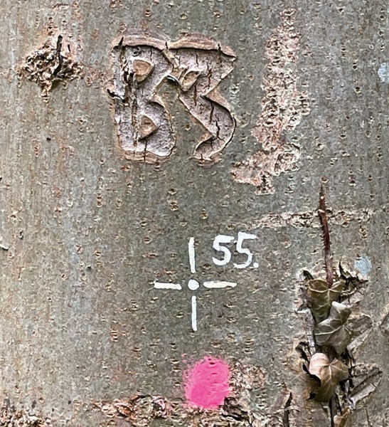 Wechseldeckel für Umhängetasche - Kreuz 55 – farbig - Größe M