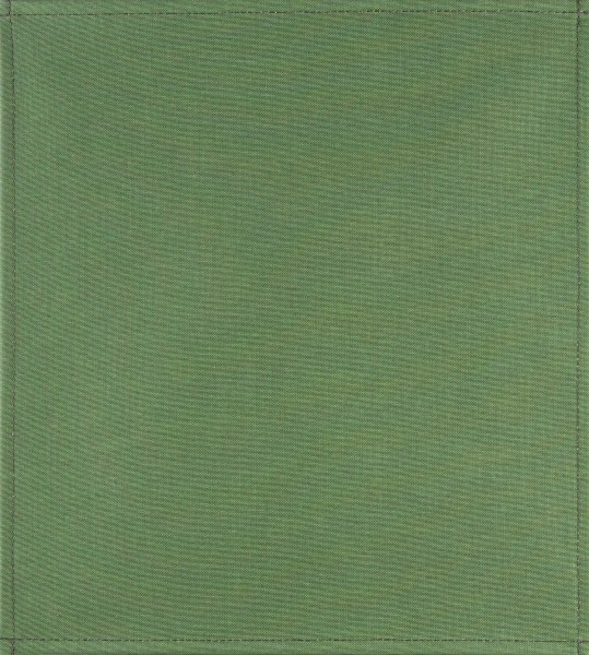 Wechselhülle für Tasche - Cordura moosgrün - grün - Größe M