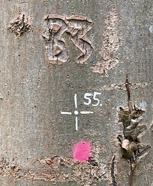 Wechseldeckel für Umhängetasche - Kreuz55 - farbig - Größe L