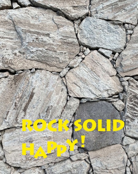 Wechseldeckel für Tasche – Rock Solid Happy – grau/gelb– Größe L